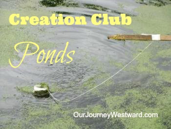 A jug tied to a stick is drug through a pond. An image for a blog post about ponds