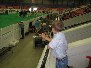 IMG_8178