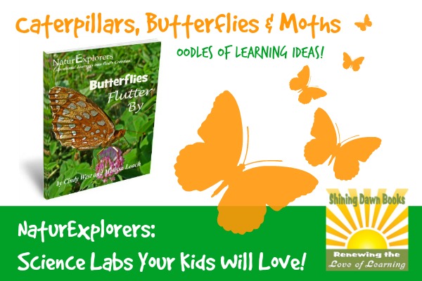 Butterflies Flutter By NaturExplorers Study