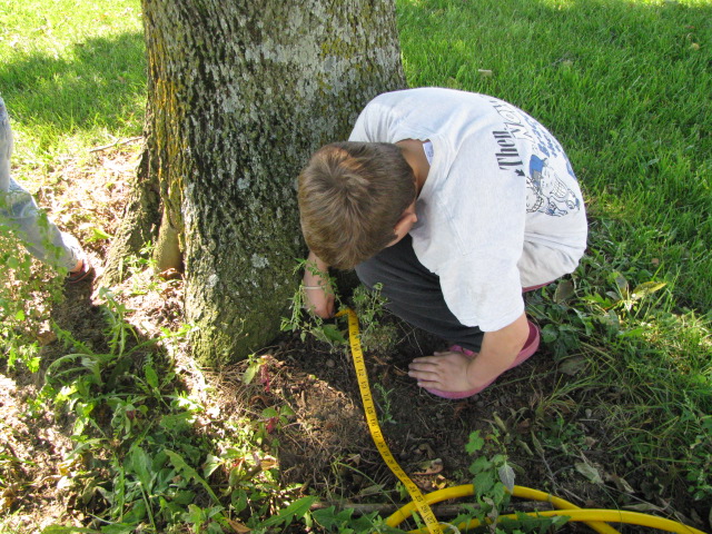Botany and nature study can be so much fun, even if you never go any farther than your back yard!