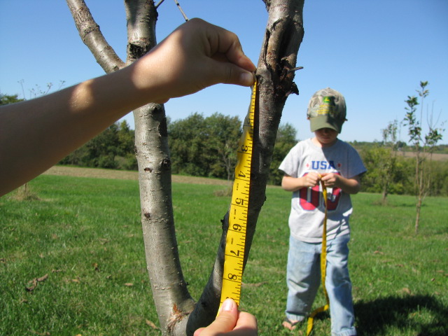 The study of a twig: science through nature study