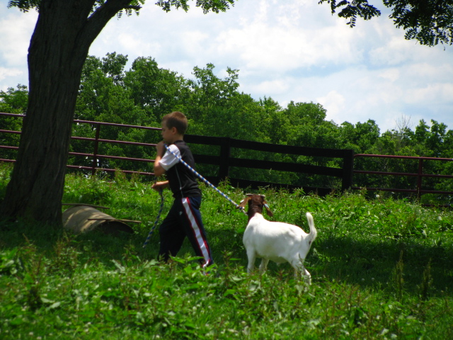 048 Character building with chores and jobs is a great opportunity in homeschooling.