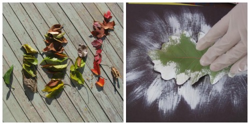 Leaf Fun with Preschoolers