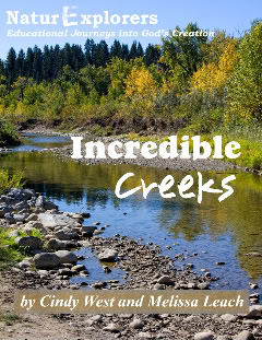 IncredibleCreeksCover2-1