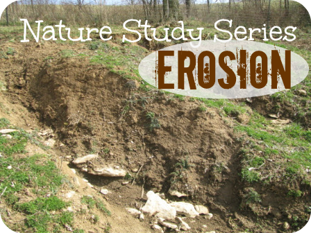Erosion is a fantastic nature study topic! Erosion is a fantastic nature study topic!