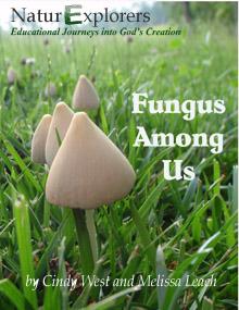 fungus cover