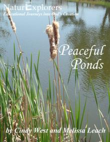pond cover