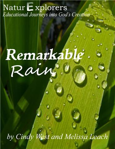 rain cover