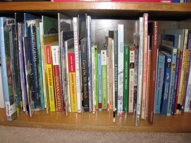 History literature American history