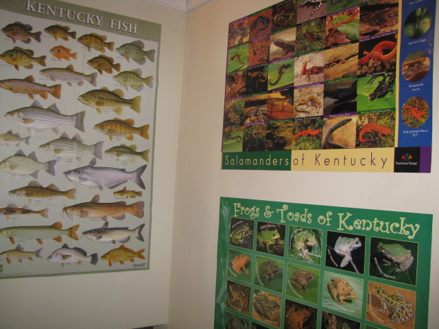 nature posters KY nature