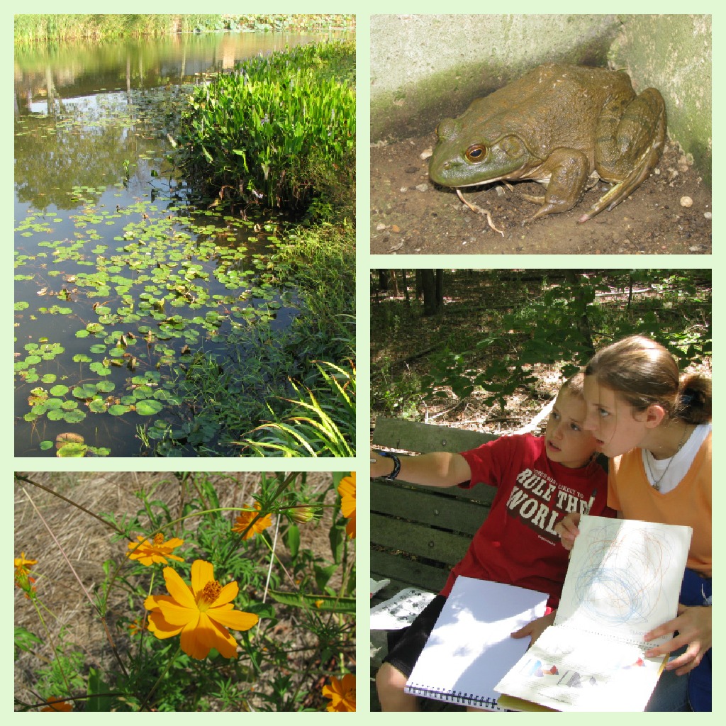 Ultimate Guide to Nature Study1 nature study
