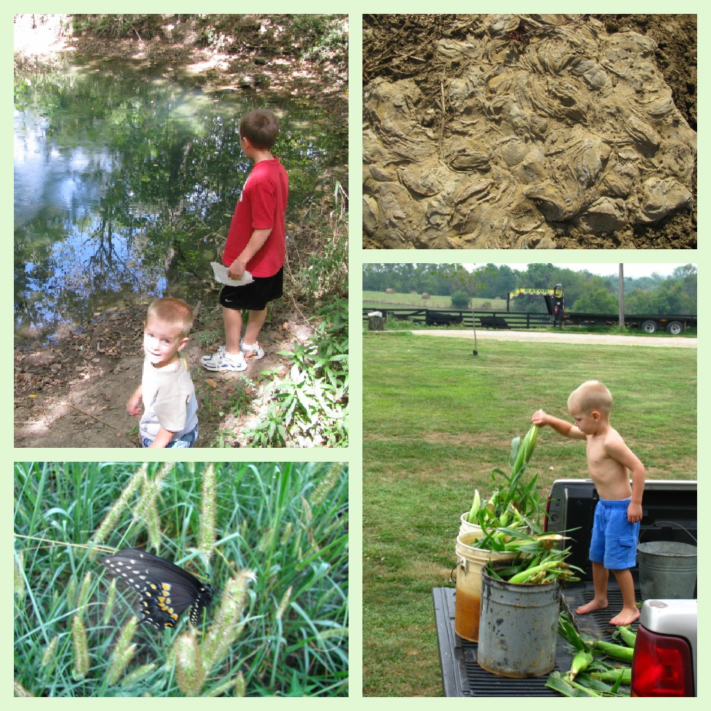 Ultimate Guide to Nature Study3 nature study