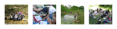 Nature Club Nature Groups