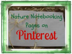 Nature Notebooking Nature Notebooking Pages