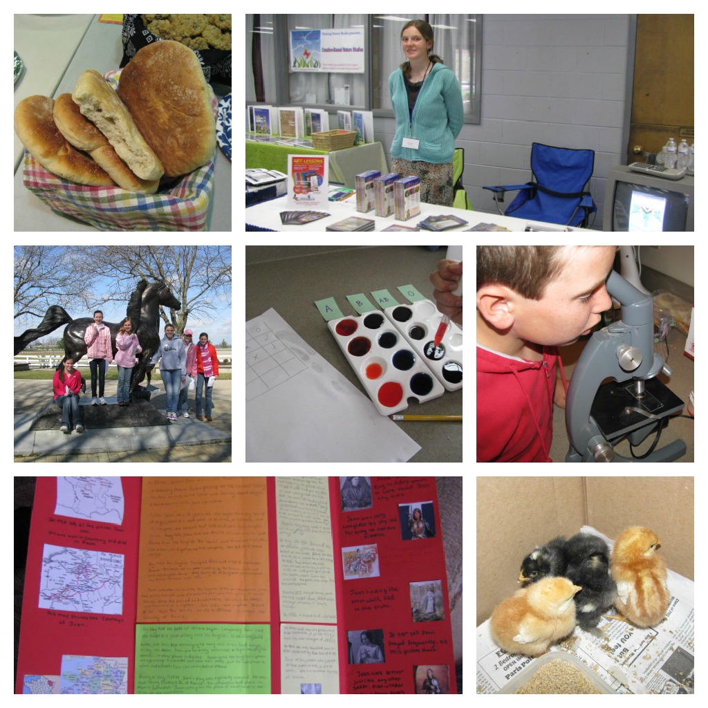 Montessori Homeschool1 Montessori in the CM Homeschool