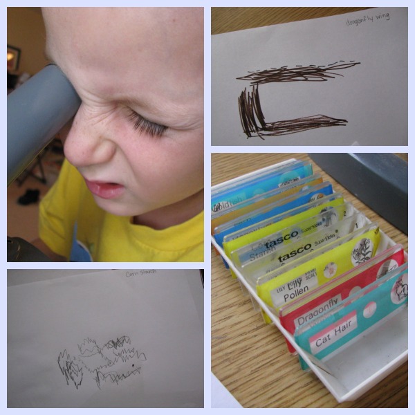 Microscope Notebooking
