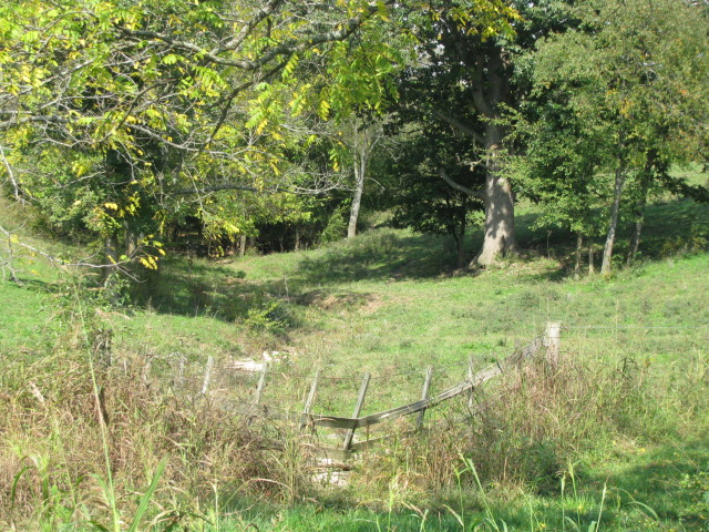 Creek bed
