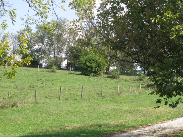 A peek back up the hill to my house