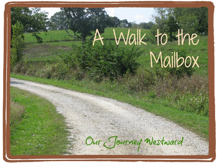 A Walk to the Mailbox