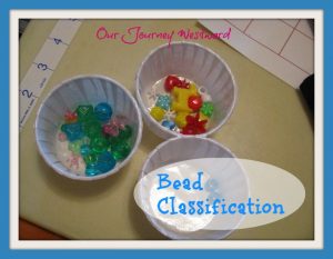 Bead Classification