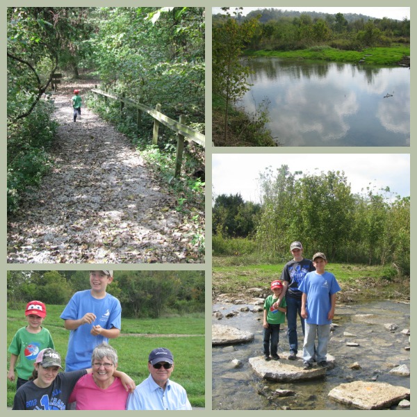 Cove Springs Nature Walk 2