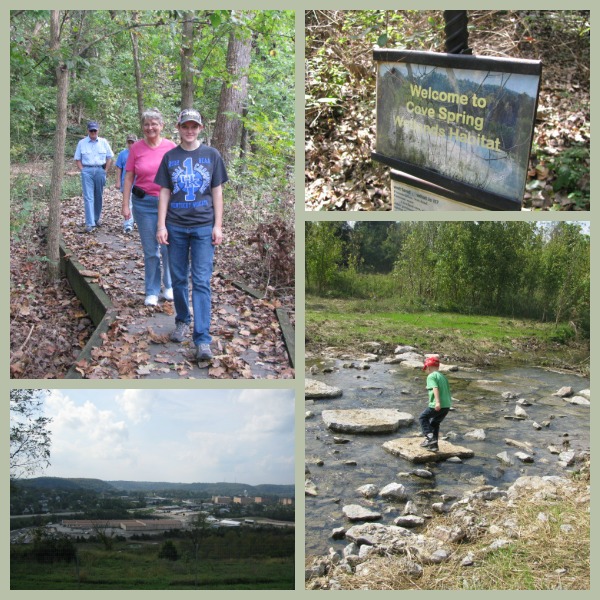 Cove Springs Nature Walk