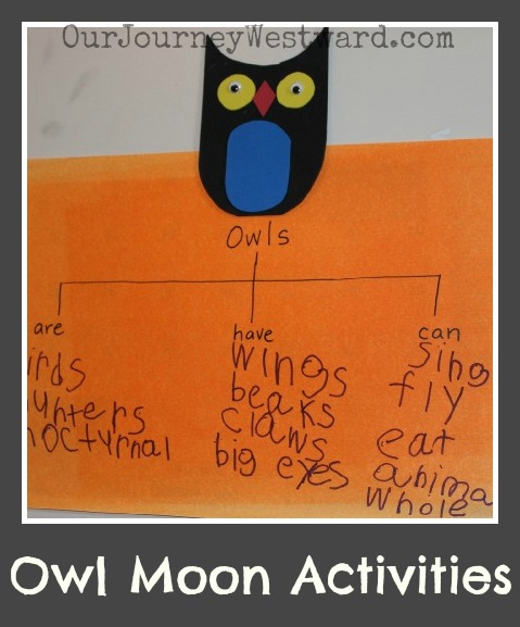 Flow chart about owls with a black and blue owl on the top