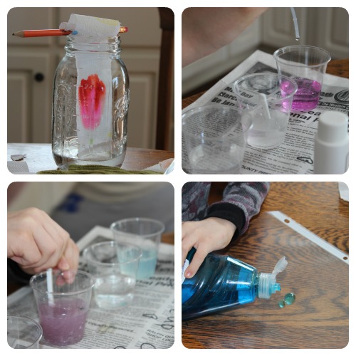 Science Friday 2
