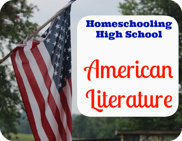 American flag hangs. Image is used for a blog post about American Literature