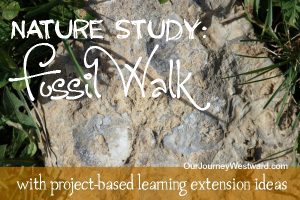 Enjoy this nature walk any time of the year! Includes fun follow-up ideas, too.