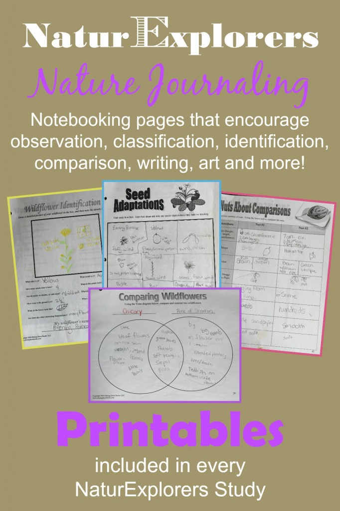 NaturExplorers studies are available on more than 20 nature topics. Each study includes several printable nature notebooking pages.