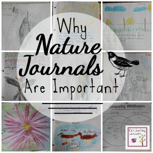 We have been utilizing nature journals in our homeschool from a very early age. They have helped our children with writing, art, noticing nature detail and much more.