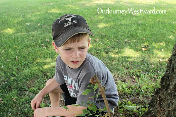 Studying nature has been such an important part our our homeschool. See why!
