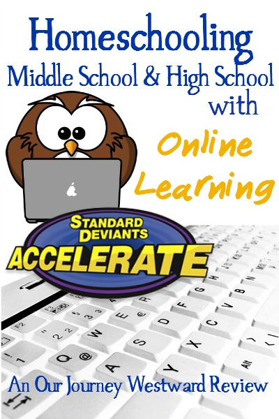 Standard Deviants Accelerate blog image with icon of brown owl looking at a computer