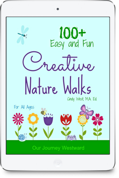 Blue cover with animated grass flowers and critters on the cover of 100+ Creative Nature Walks.