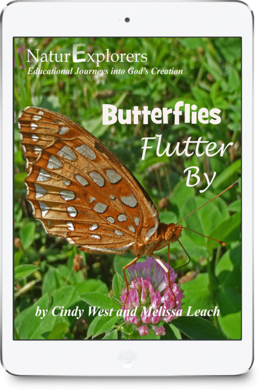 Butterflies Nature Study
