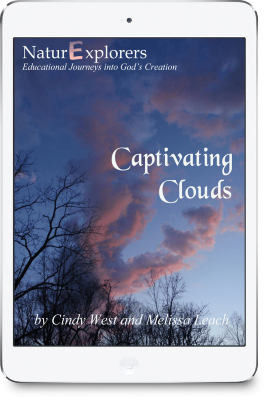 Captivating Clouds