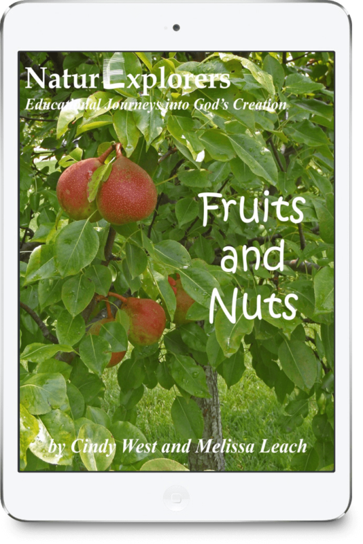 Fruits and Nuts