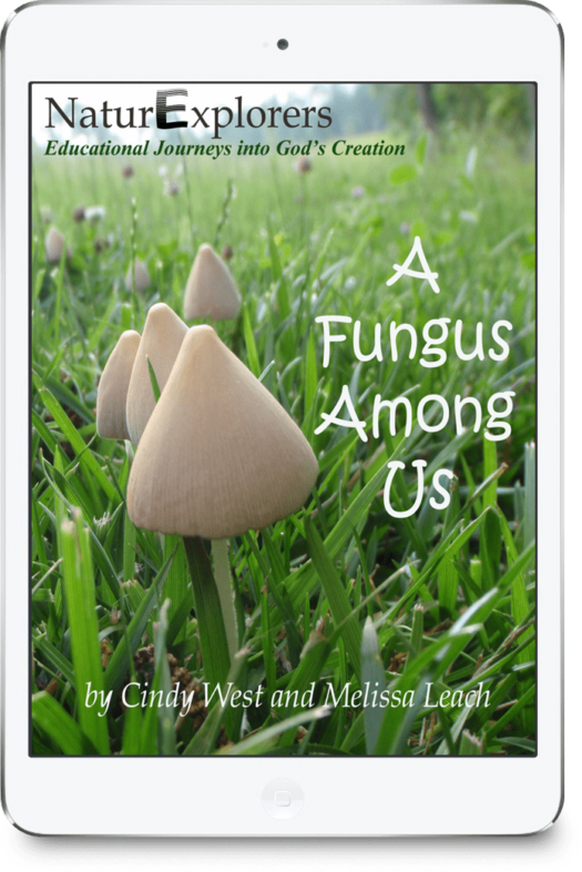 A Fungus Among Us