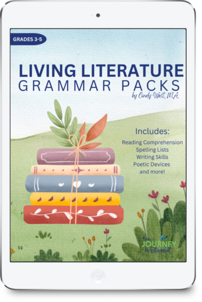 stack of books cover for a book about grammar for kids