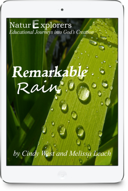 Remarkable Rain