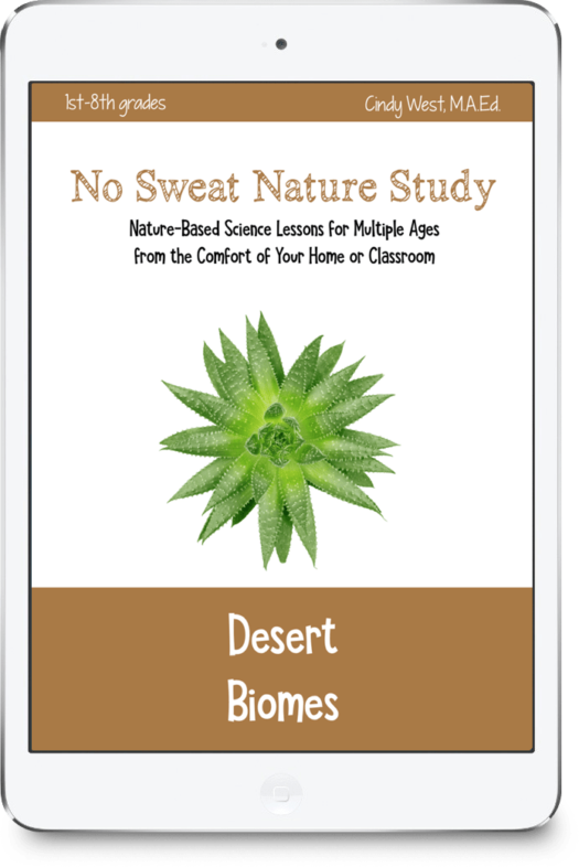 Desert Biomes
