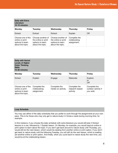 Page of curriculum about rainforest biomes with an orange stripe on top of the page.