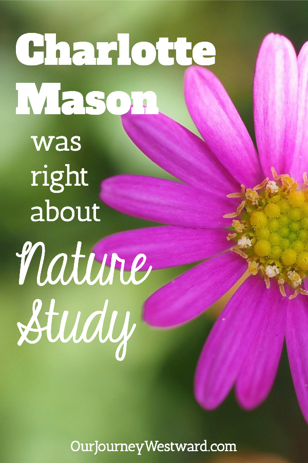Charlotte Mason Unit Study