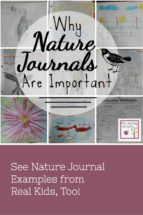 Image for a post about why nature journals are important. Includes drawings from nature journals as the background
