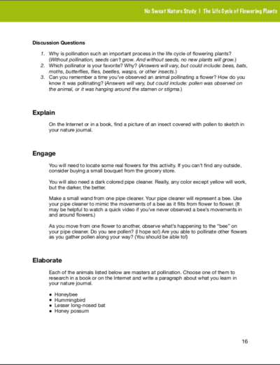 The Life Cycle of Flowering Plants No Sweat Nature Study curriculum preview.