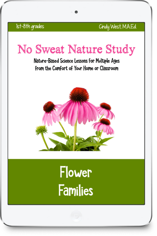 Flower Families