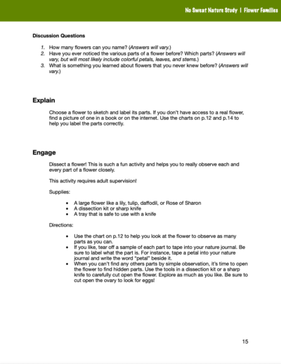 Flower Families Curriculum