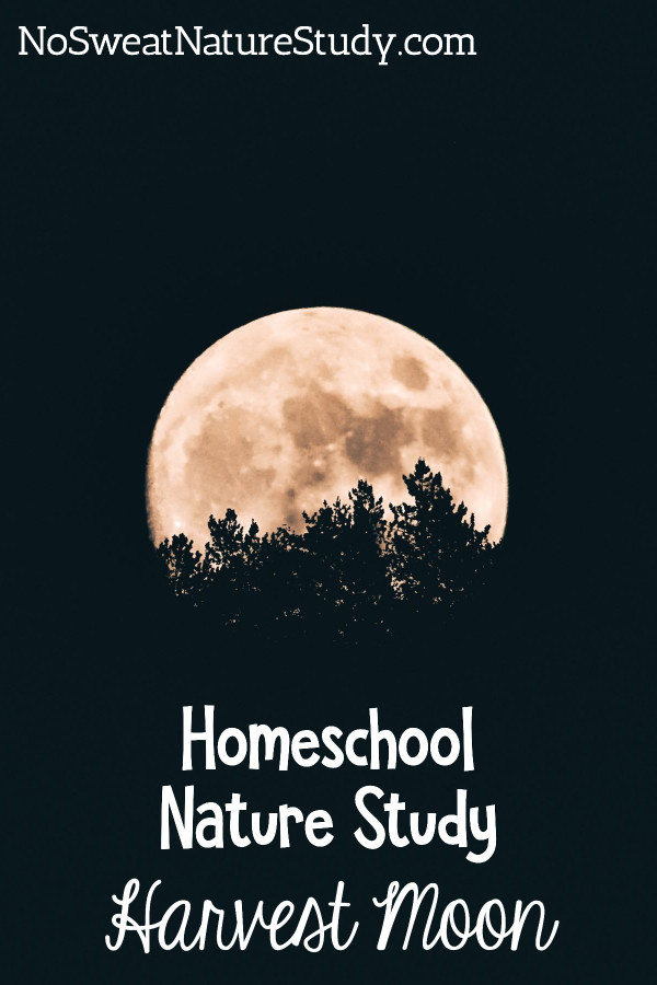 The moon can be breathtaking. Learn all about what makes the Harvest Moon special!