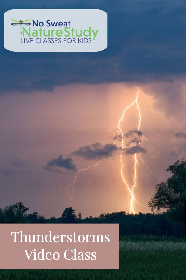 Lighting striking to the ground